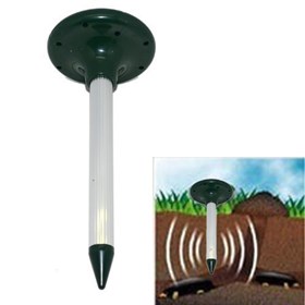 How To Get Rid Of Rats: Leenay Jambert